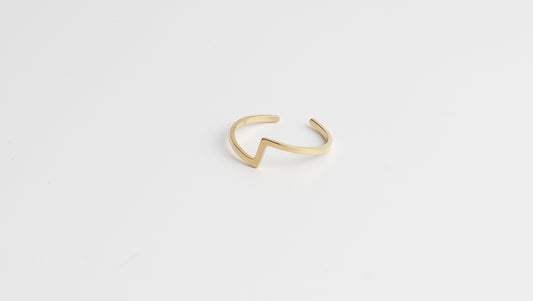 Robin - Ring - Stainless Steel - Adjustable