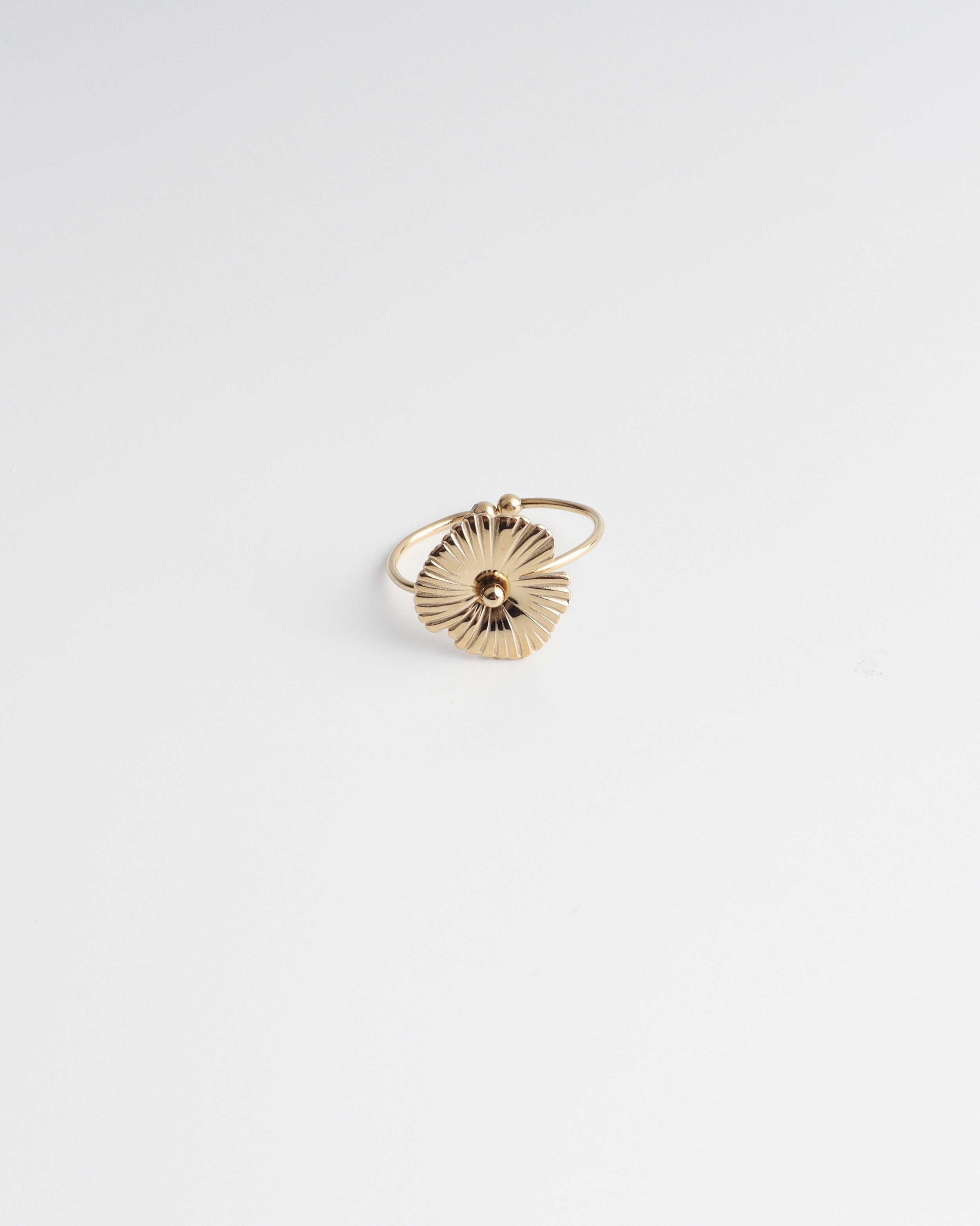 Lenka - Anillo - Acero inoxidable - Ajustable